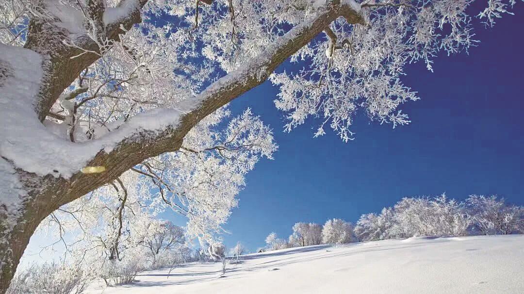 白山冰雪旅遊全面升級