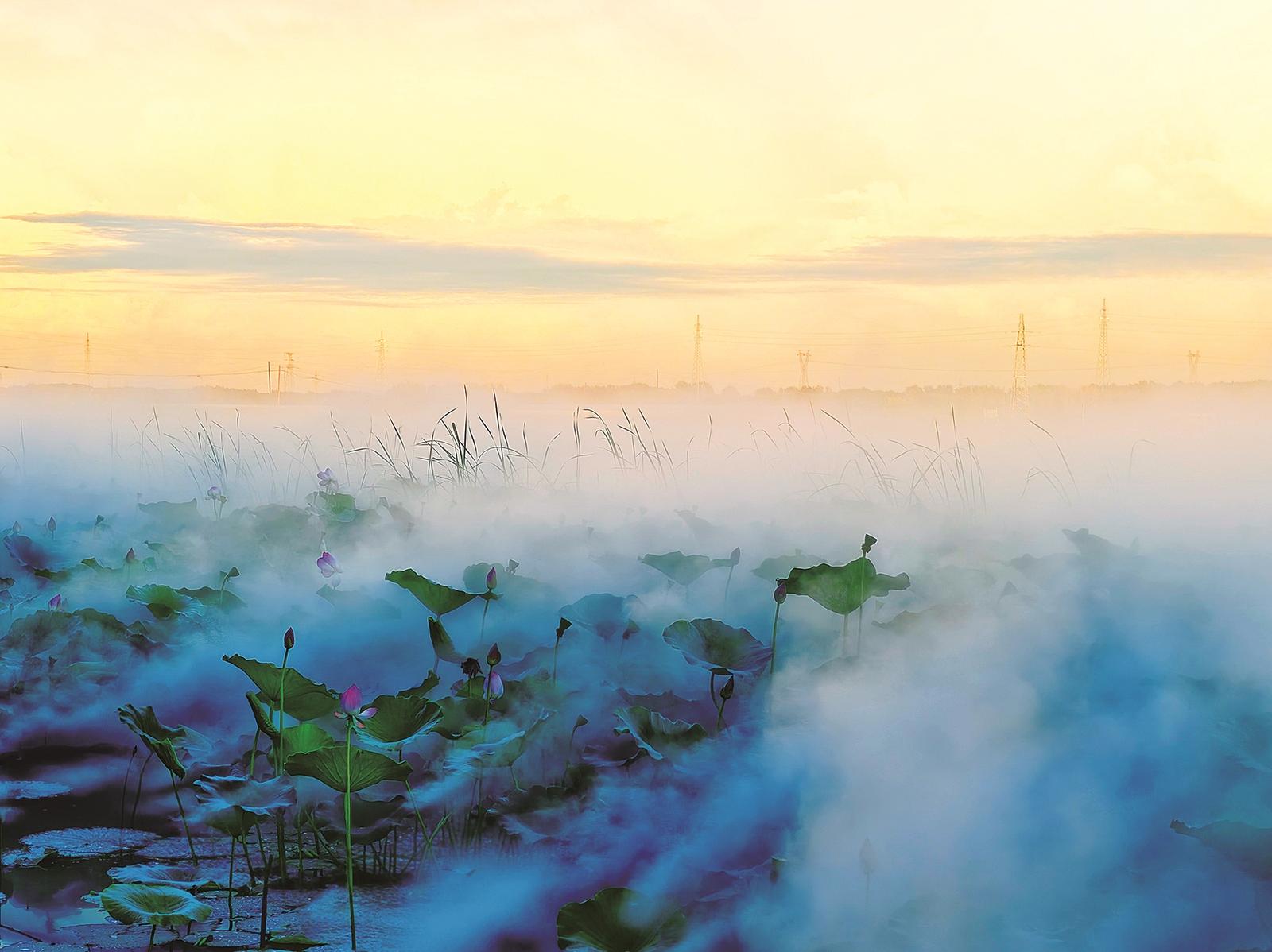 鎮賚南湖“荷”你相約盛花期