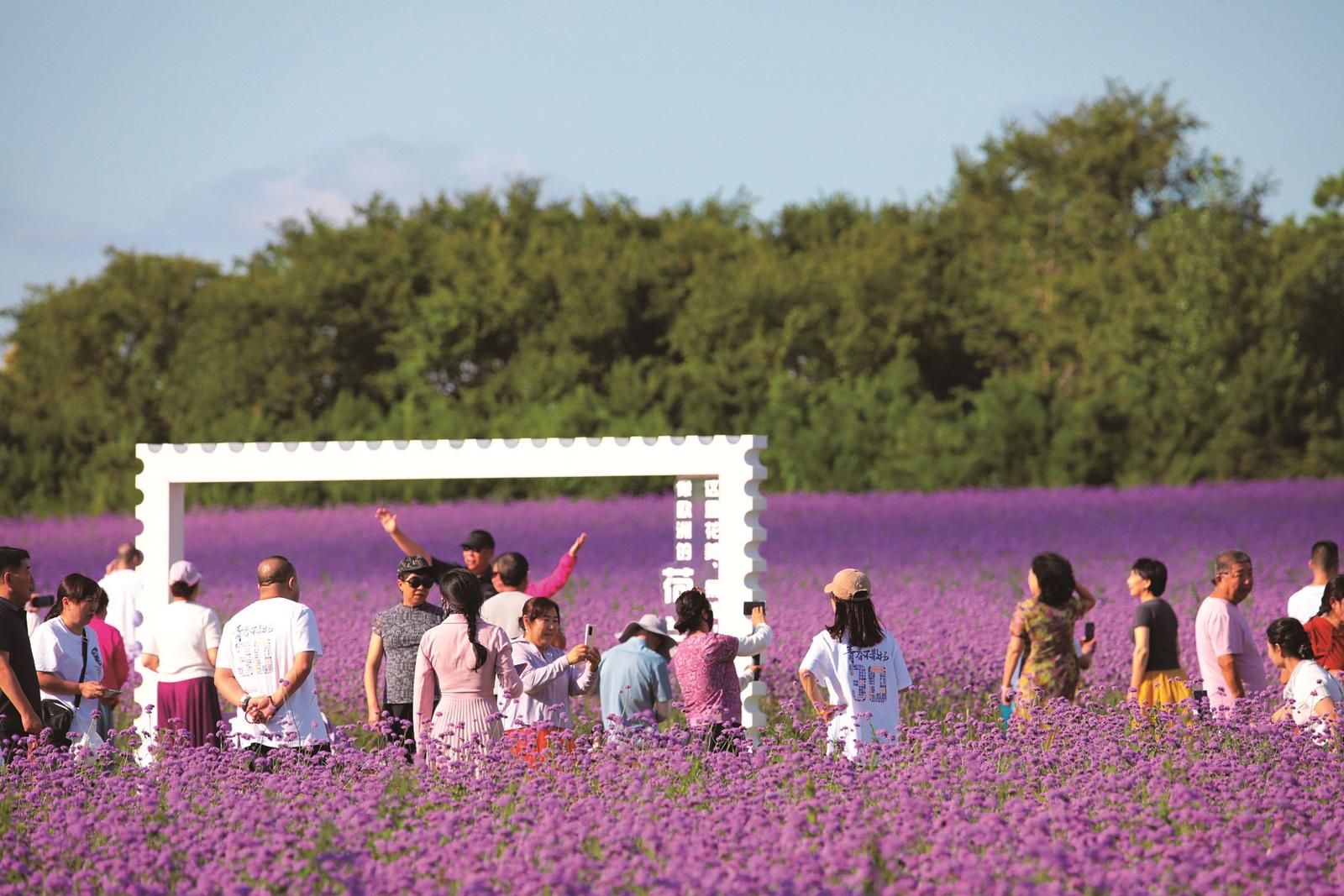 吉林查幹湖：生態美景 邀您入“畫”