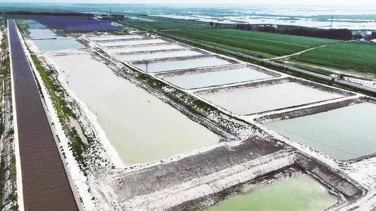 激活“一池春水”——大安市全産業鏈打造東北漁業新高地