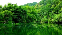 “五一”旅遊預訂熱度攀升，貴陽、荔波躋身全國熱門旅行目的地