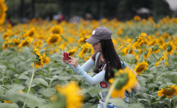 現在出發！避暑就來貴陽：一村一景：燈相約 花為媒 去蓬萊搭乘“四季列車”