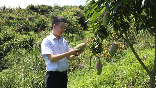 郵儲銀行望謨縣支行：量身定制金融解決方案 助力群眾增收致富