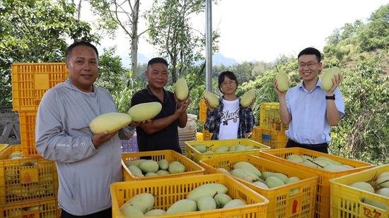 郵儲銀行望謨縣支行：量身定制金融解決方案 助力群眾增收致富