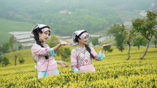 邂逅春日茶山 貴州甕安邀您共賞茶韻之美_fororder_“春秀茶山--最美的你尋找茶文化代言人”才藝展示(甕安融媒 供圖)