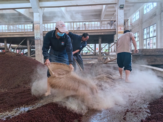 貴州仁懷:重陽下沙正當時 恪守工藝釀造忙 貴州仁懷:重陽下沙正當時 恪守工藝釀造忙_fororder_灑曲
