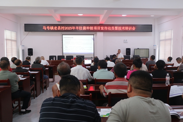 貴州施秉:稻菌輪作拓新路,百畝菌田勞作忙 貴州施秉:稻菌輪作拓新路,百畝菌田勞作忙_fororder_施秉縣馬號鎮開展項目動員會