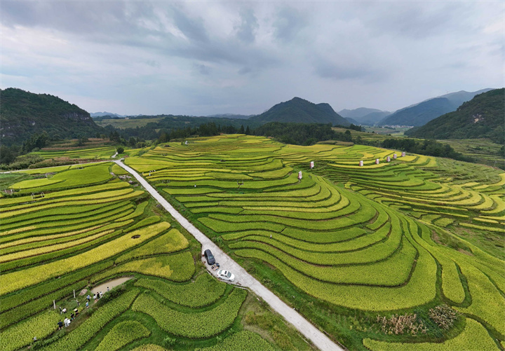 9月13—14日，黔南州龍裏縣灣灘河鎮將舉辦稻田美食音樂節！