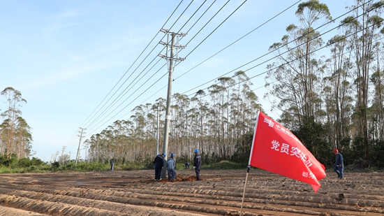 千里馳援抗颱風 貴州長順供電局奮戰廣東湛江助萬餘戶復電_fororder_黨員突擊隊正在開挖電桿洞.JPG