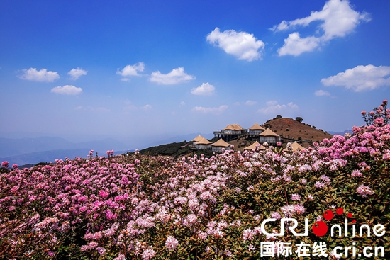收下這份“夏季清涼邀約” 六盤水避暑季活動“上新”_fororder_微信圖片_20250427122513