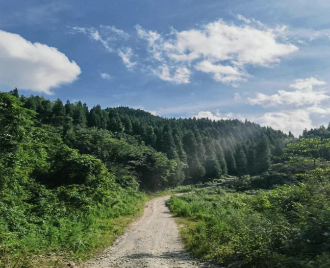 現在出發！避暑就來貴陽：【一村一景】靛山村（下）：森林美食、文化韻律、探險樂園