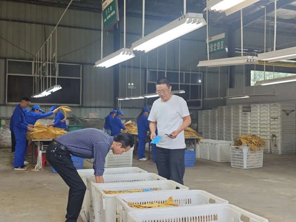 貴州六盤水市水城區烤煙收購工作全面啟動_fororder_3