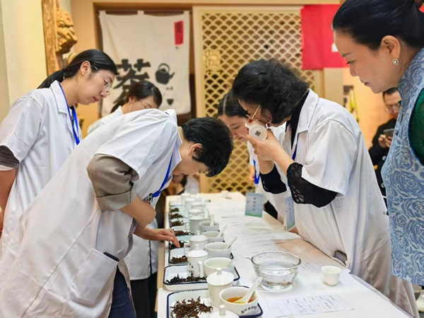 2025年貴州省秋季鬥茶賽專家審評會啟幕 2025年貴州省秋季鬥茶賽專家審評會啟幕_fororder_查看葉底情況