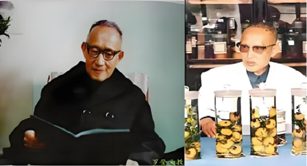 貴州刺梨：一枚野果的“浪浪山”突圍記