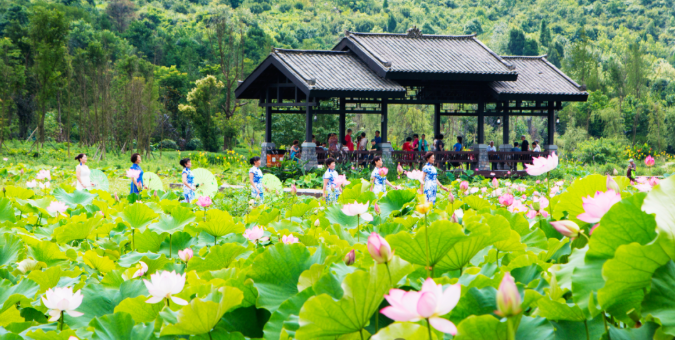 現在出發！避暑就來貴陽：一村一景：燈相約 花為媒 去蓬萊搭乘“四季列車”
