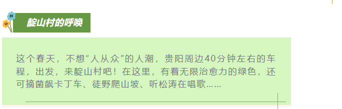 現在出發！避暑就來貴陽：【一村一景】靛山村（下）：森林美食、文化韻律、探險樂園