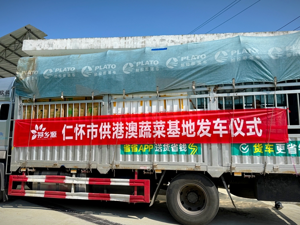 貴州仁懷：打造供港澳蔬菜基地助力“黔菜”出山_fororder_裝滿辣椒的貨車