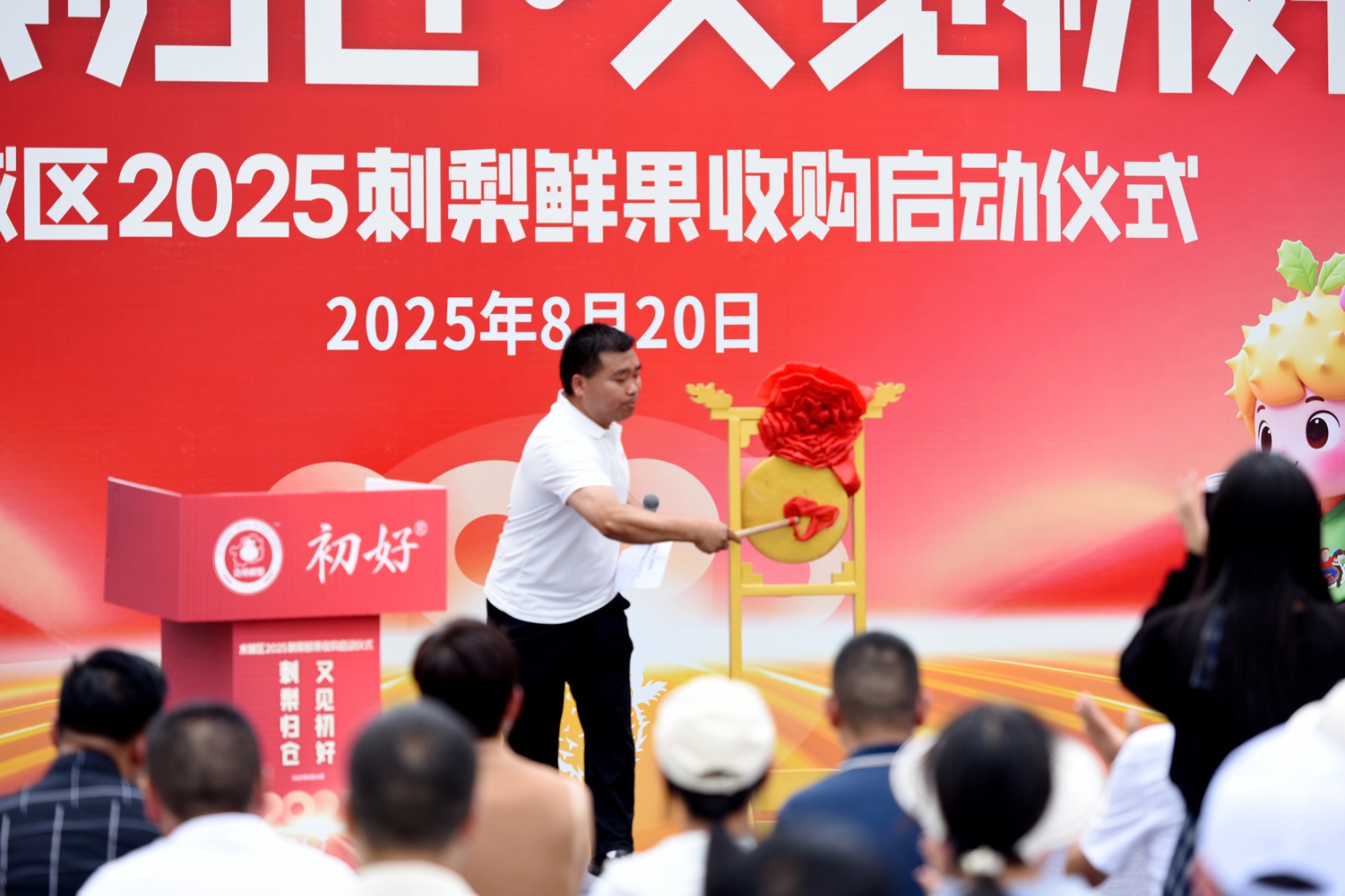 刺梨歸倉 又見初好 | 水城區2025刺梨鮮果收購工作正式啟動