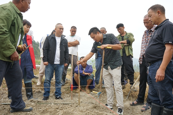 貴州施秉:稻菌輪作拓新路,百畝菌田勞作忙 貴州施秉:稻菌輪作拓新路,百畝菌田勞作忙_fororder_施秉縣馬號鎮技術人員講解種植技巧