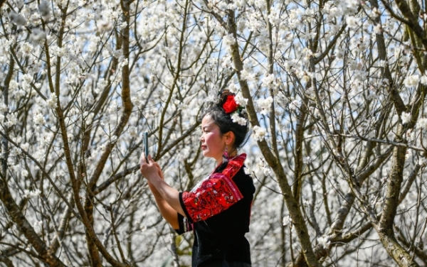 黔西南春宴： 當山花爛漫叩響民族風味的味蕾_fororder_qxnrbp34_b@600_377