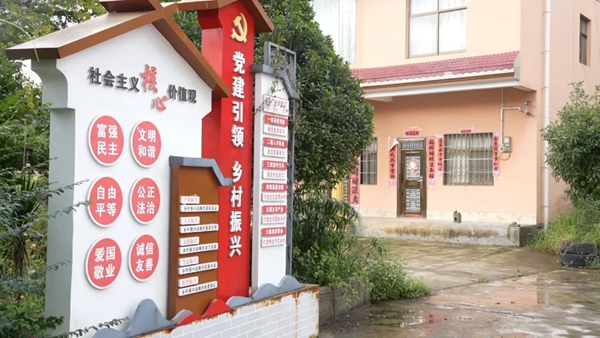 貴州盤州市東衝村以“黨建引領 精細治理”破題鄉村振興 貴州盤州市東衝村以“黨建引領 精細治理”破題鄉村振興_fororder_3