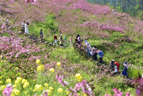 2025年鎮遠古城第三屆“花語節”暨報京第四十屆“三月三”民俗文化節開幕_fororder_640 (1)