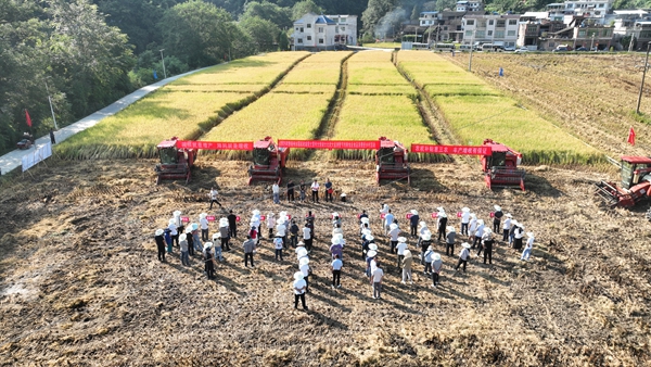貴州平塘：水稻機收減損“大比武” 節糧增産護豐收_fororder_大比武現場1