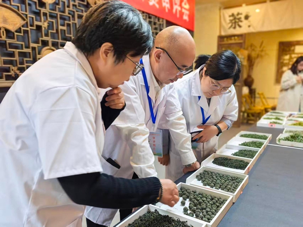 2025年貴州省秋季鬥茶賽專家審評會啟幕 2025年貴州省秋季鬥茶賽專家審評會啟幕_fororder_專家看茶樣的形狀
