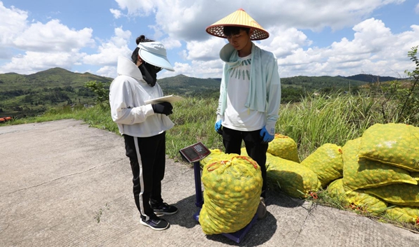 貴州獨山：持續推進刺梨産業高品質發展_fororder_3