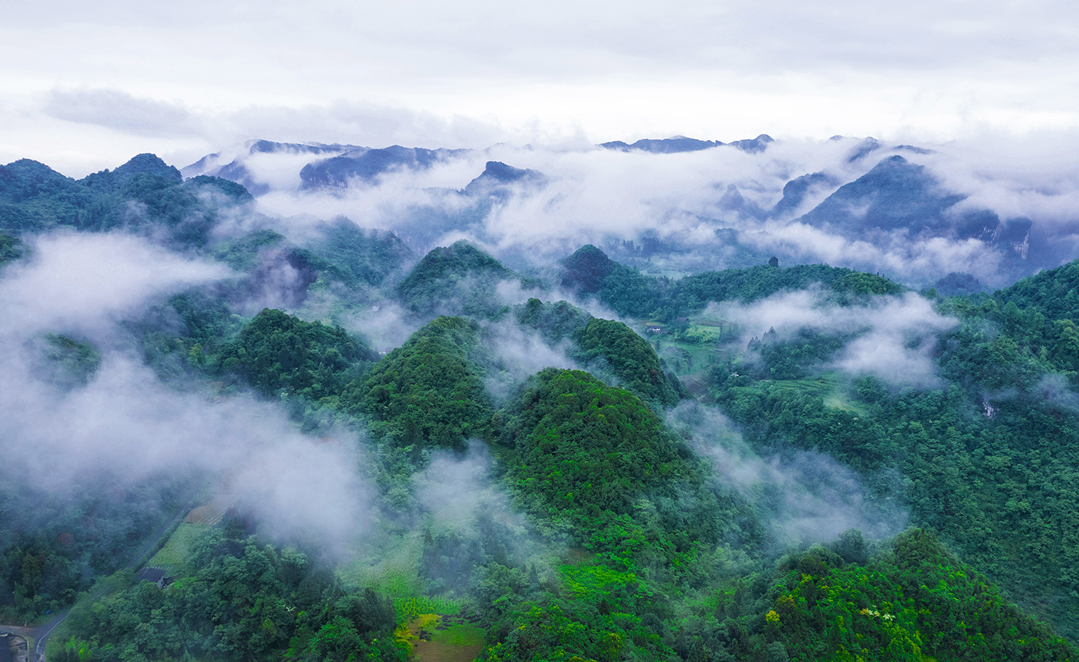 萬物共生處 大美不言時｜2025世界野生動植物日貴州影像