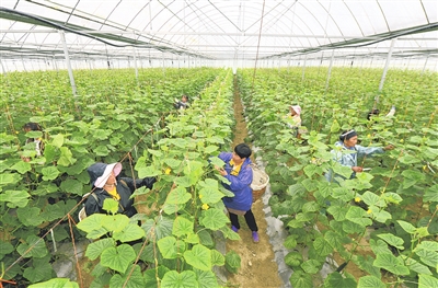 同心共繪幸福畫卷 ——寫在黔南布依族苗族自治州成立69週年之際