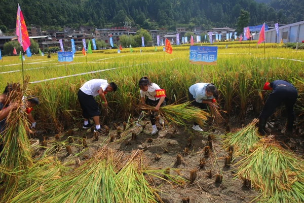 “賽” 出農味 “動” 出活力 貴州“村運會”總決賽“豐”景獨好 “賽” 出農味 “動” 出活力 貴州“村運會”總決賽“豐”景獨好_fororder_4