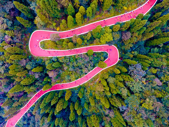 從顏值到産值 生態優勢解鎖貴州“美麗經濟”_fororder_遵義市箐山公園步道