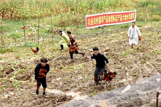 2025年中國農民豐收節六盤水主會場活動在鍾山區舉行_fororder_DSC_8356.JPG