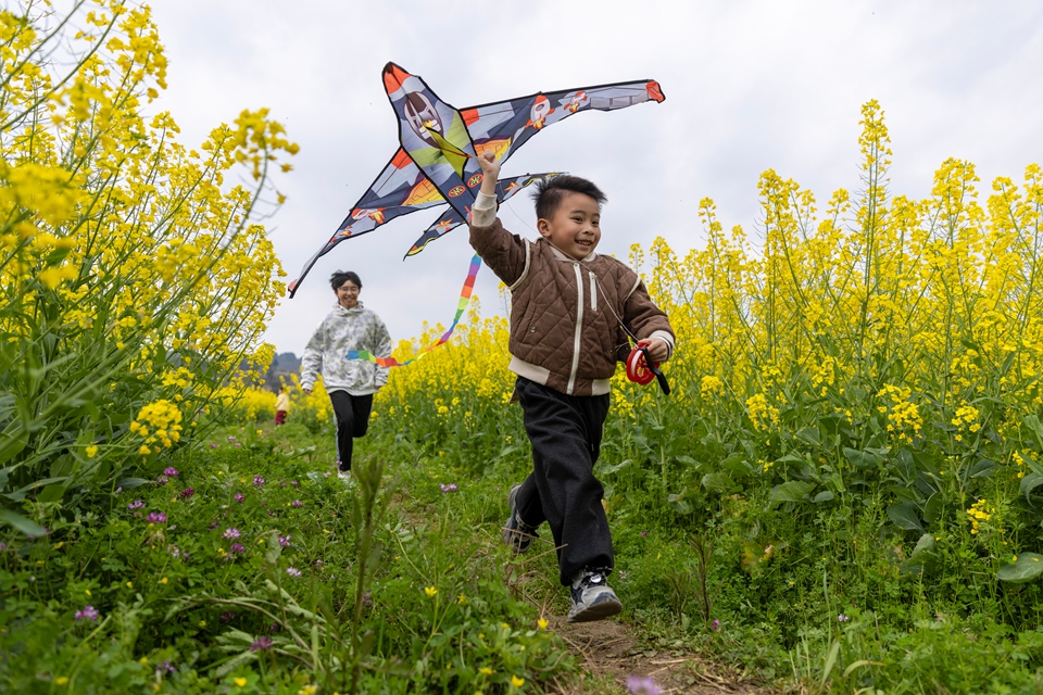 貴州施秉:踏青賞花享春光