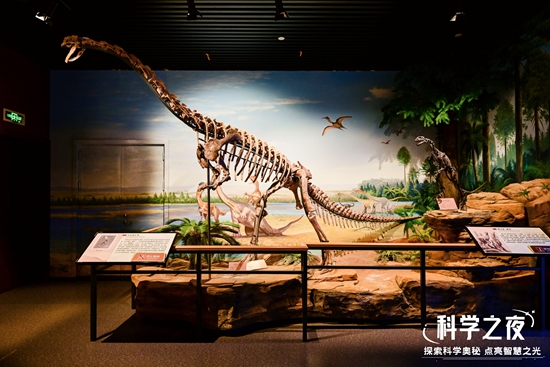 2025貴州科技節“科學之夜”啟幕:三館聯動打造沉浸試科普文化盛宴_fororder_貴州地質博物館科學之夜2(圖片來源:主辦方供圖).JPG