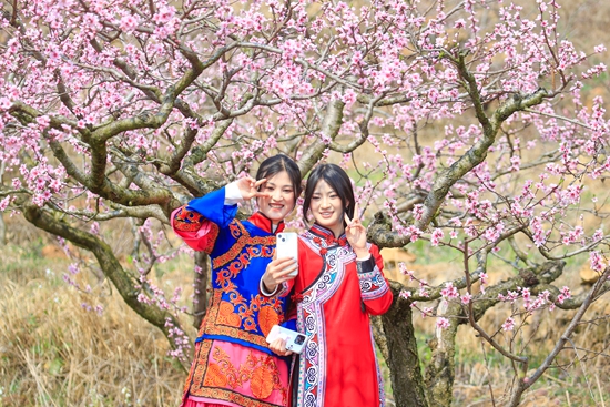 貴州威寧自治縣：縣域旅遊“一路繁花”_fororder_2025年3月12日，遊客在威寧自治縣龍場鎮樹舍社區油桃種植基地賞花拍照。（沈光勇 攝）