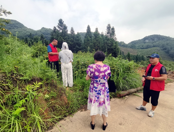 貴州清鎮：刺梨喜獲“百萬訂單” 80余戶農戶增收有保障​_fororder_採摘刺梨樣品（汪國友 攝）