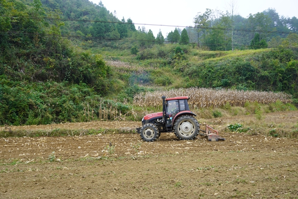 貴州鎮遠江古鎮:秋冬忙耕種 油菜鋪就農戶“致富路” 貴州鎮遠江古鎮:秋冬忙耕種 油菜鋪就農戶“致富路”_fororder_微信圖片_20251014205047_2028_193