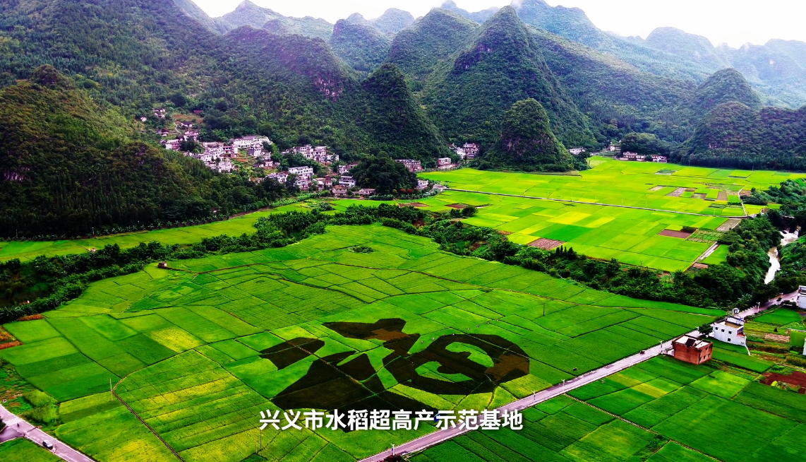 從黔地田野出發，看貴州如何奏響鄉村振興“最強音”