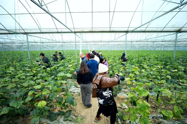 粵貴花開在黔南 | 廣黔協作賦能龍裏農業産業升級 粵貴花開在黔南 | 廣黔協作賦能龍裏農業産業升級_fororder_2