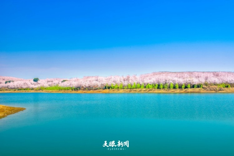 三月的貴州：是被春天打翻的調色盤_fororder_dD0xNzczODE4MjM2X3I9NGFmOTU0ZTdfdz0xMDgwX3E9MTAwX2U9anBn