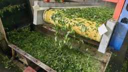 六盤水市鍾山區茶企以科技創新激活産業新活力