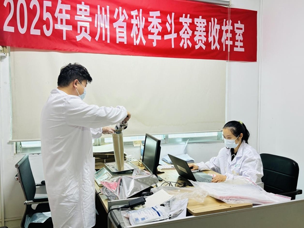 收樣圓滿收官!100余份茶樣匯聚貴陽衝擊“茶王”寶座_fororder_圖片1
