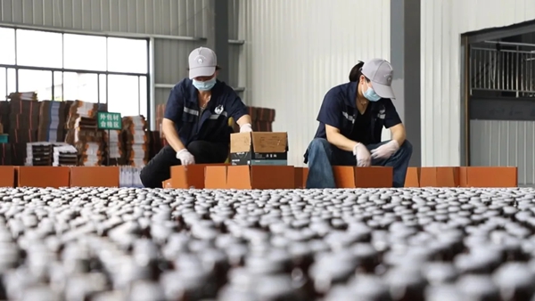 貴州丹寨:創新智造雙輪驅動 衝刺四季度幹勁足 貴州丹寨:創新智造雙輪驅動 衝刺四季度幹勁足_fororder_1