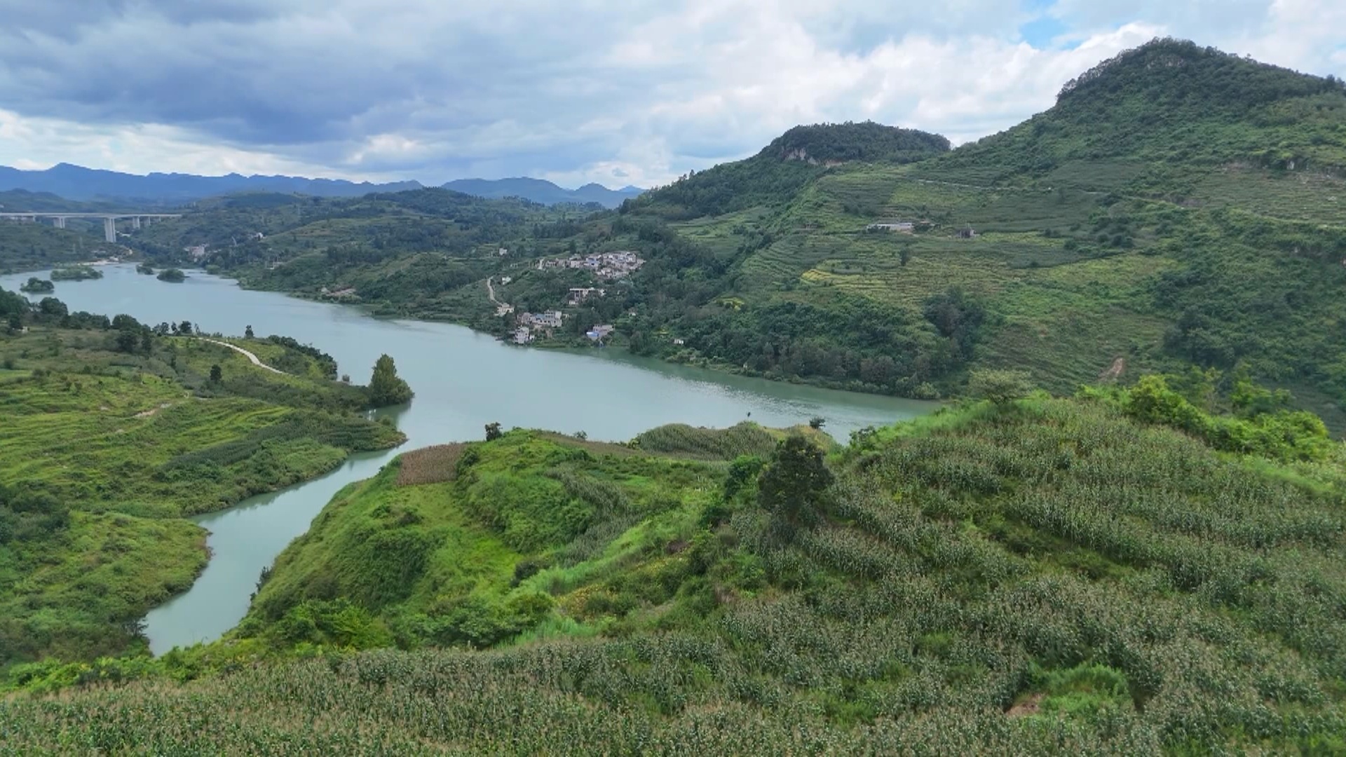 從荒山到“金”山！梭戛鄉刺梨豐收挂滿“金果果”