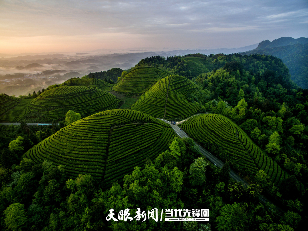 從4132億到1.31萬億！貴州縣域經濟“興”動山海