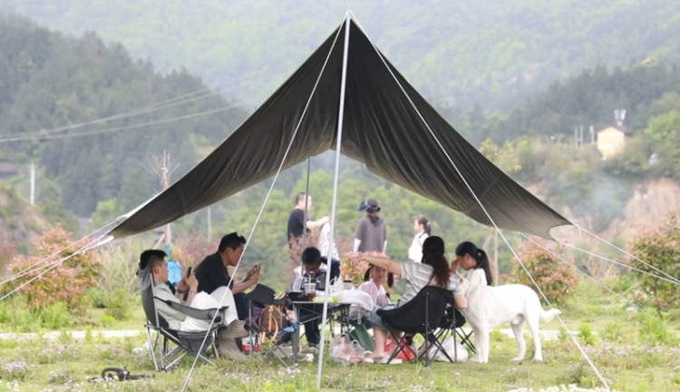 田疇沃野繪“豐”景 “農”墨重彩譜新篇——黔東南州“十四五”時期農業農村發展亮點綜述