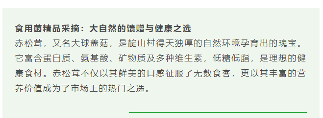 現在出發！避暑就來貴陽：【一村一景】靛山村（下）：森林美食、文化韻律、探險樂園