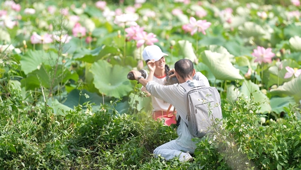 荷韻生金 貴州惠水以“花”為媒助力鄉村振興_fororder_拍照留念